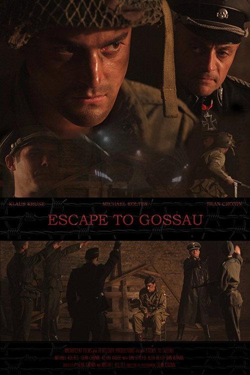Escape to Gossau 2013 official movie poster