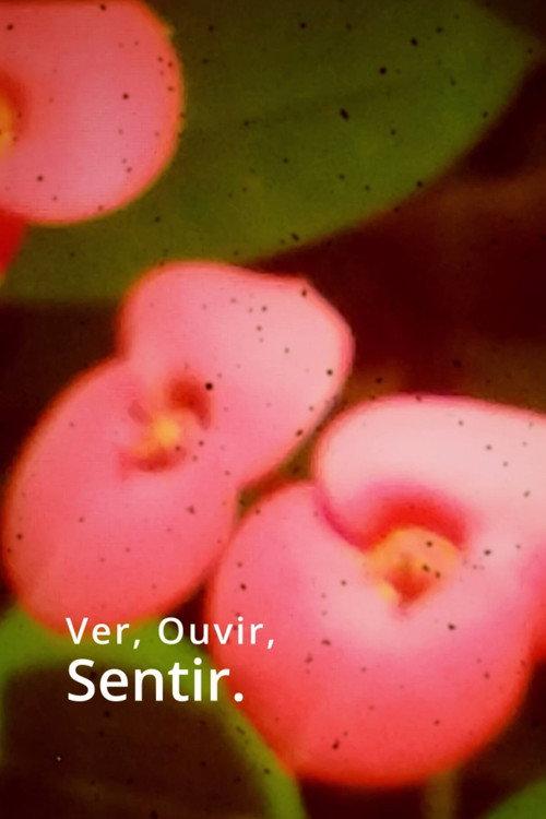 Ver, Ouvir, Sentir. 2024 official movie poster