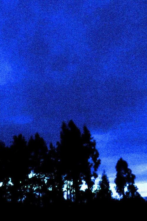 Looking South 2025 official movie poster