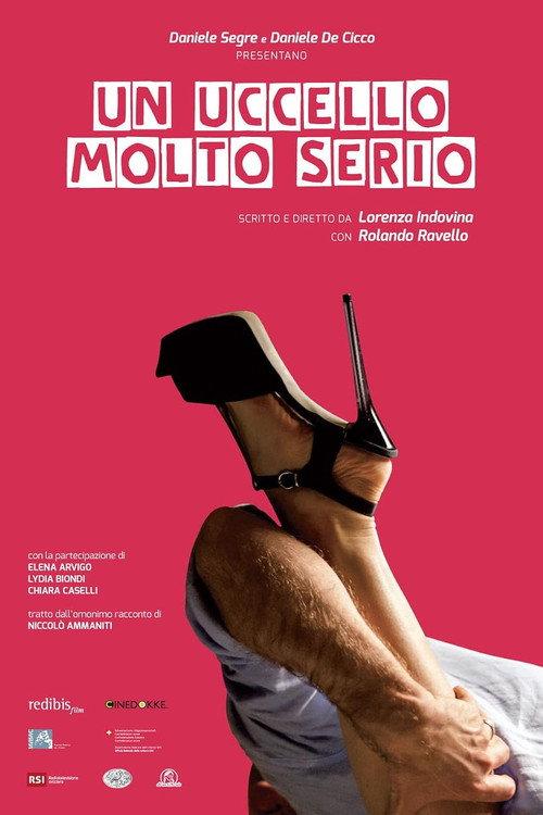 Un uccello molto serio 2014 official movie poster