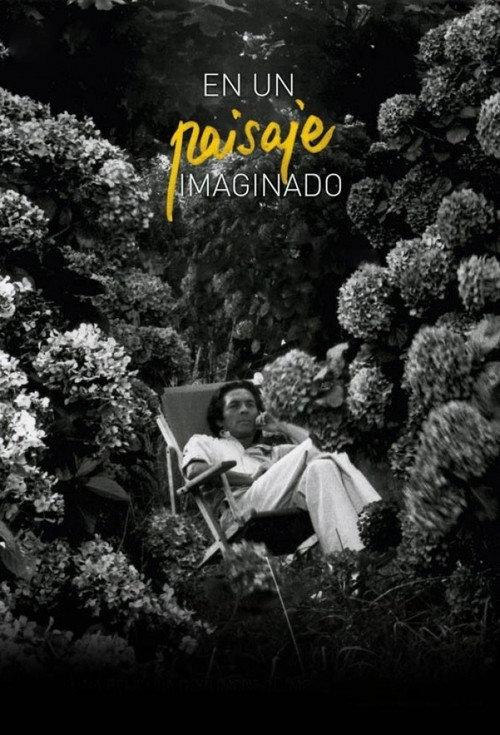 Imagined Landscape 2012 official movie poster
