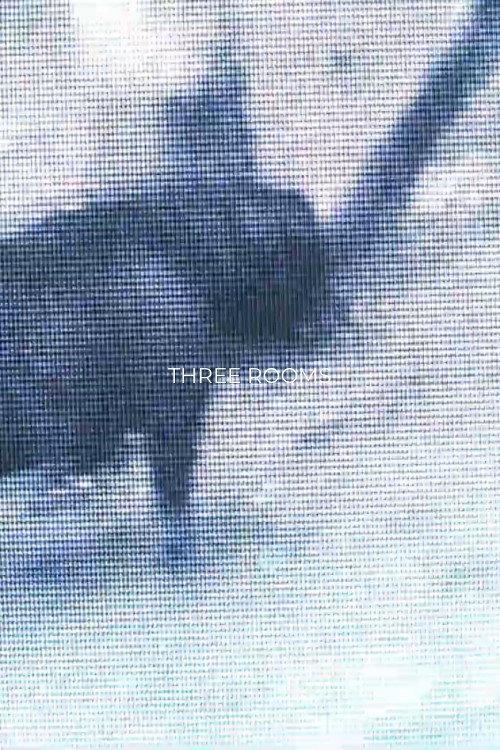 Three Rooms 2022 official movie poster