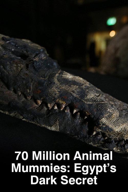 70 Million Animal Mummies: Egypt's Dark Secret 2015 official movie poster