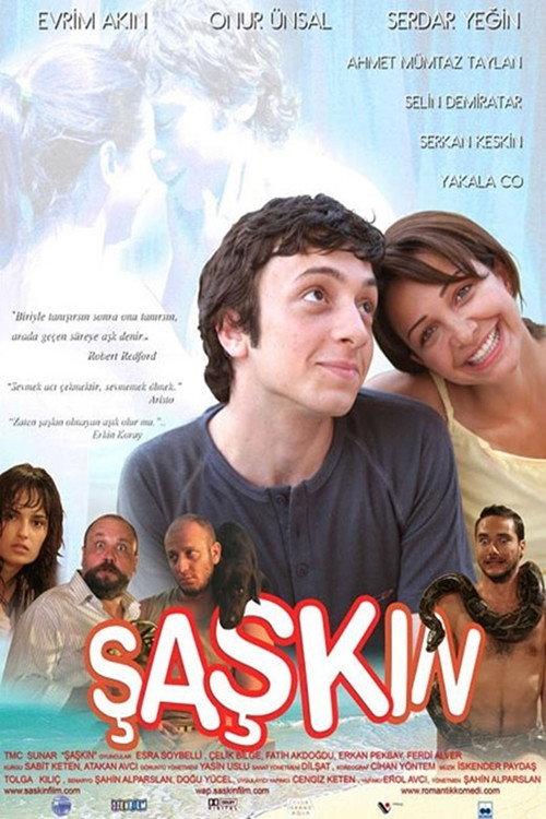 The Silly 2006 official movie poster