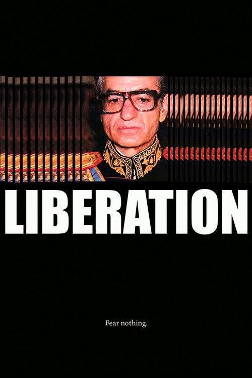 Liberation 2009 official movie poster
