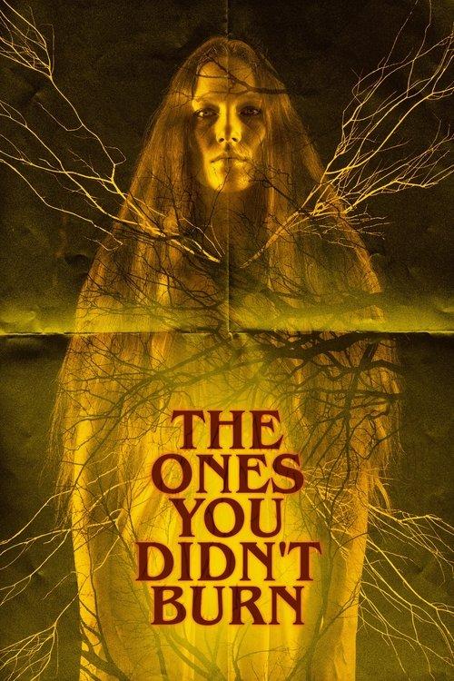 The Ones You Didn’t Burn 2022 official movie poster