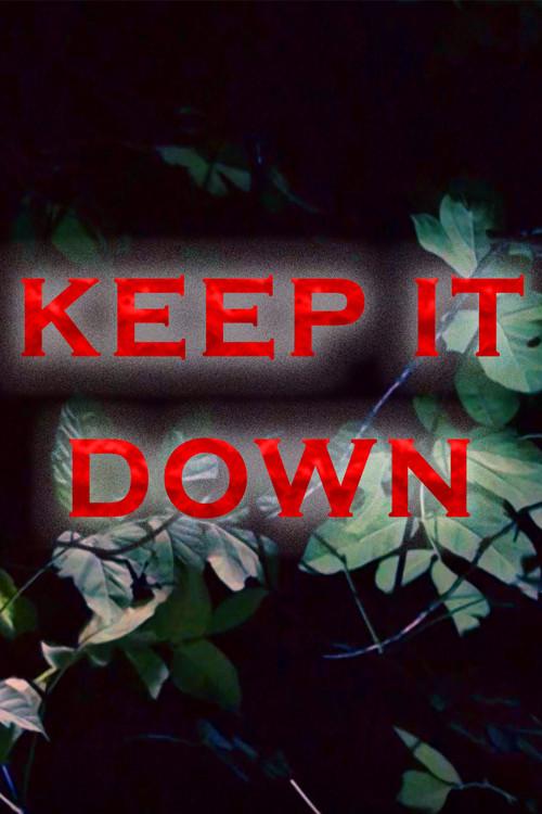Keep It Down official movie poster