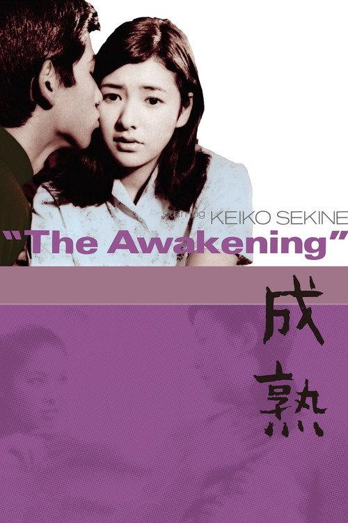 The Awakening 1971 official movie poster