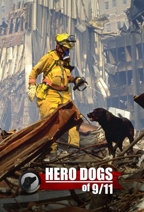 Hero Dogs Of 9/11 2011 official movie poster