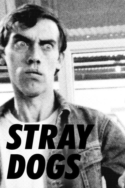 Stray Dogs 1985 official movie poster