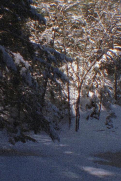 Winter Beyond Winter 2016 official movie poster