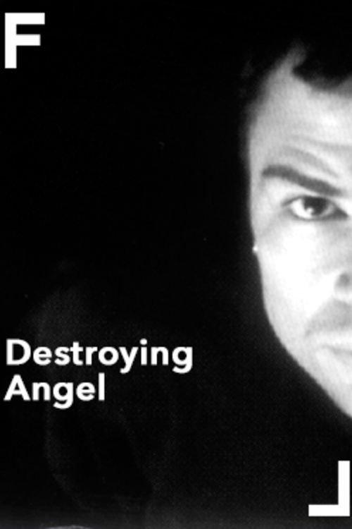 Destroying Angel 1998 official movie poster