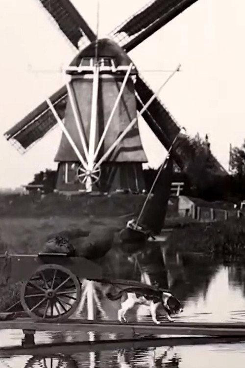 Countryside Near Amsterdam 1898 official movie poster