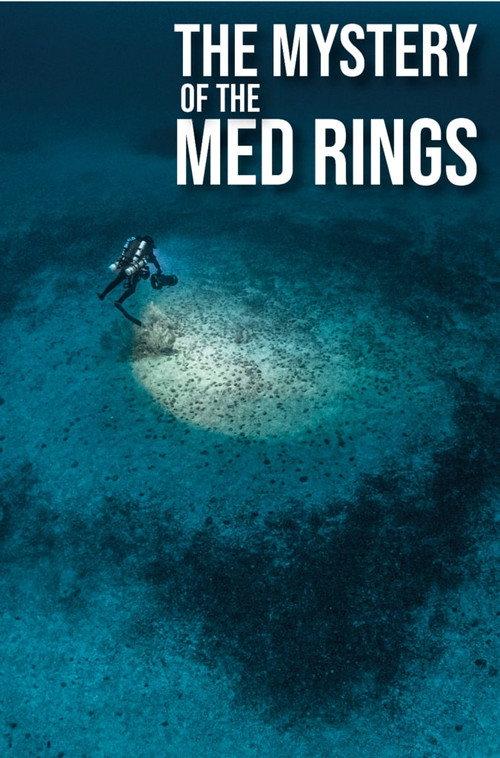 The Mystery of the Med Rings 2025 official movie poster