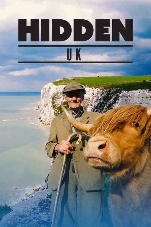 Hidden UK 2021 official movie poster