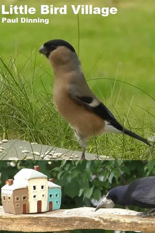 Little Bird Village 2022 official movie poster