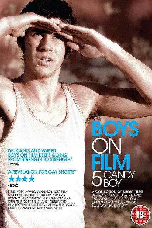Boys On Film 5: Candy Boy 2010 official movie poster
