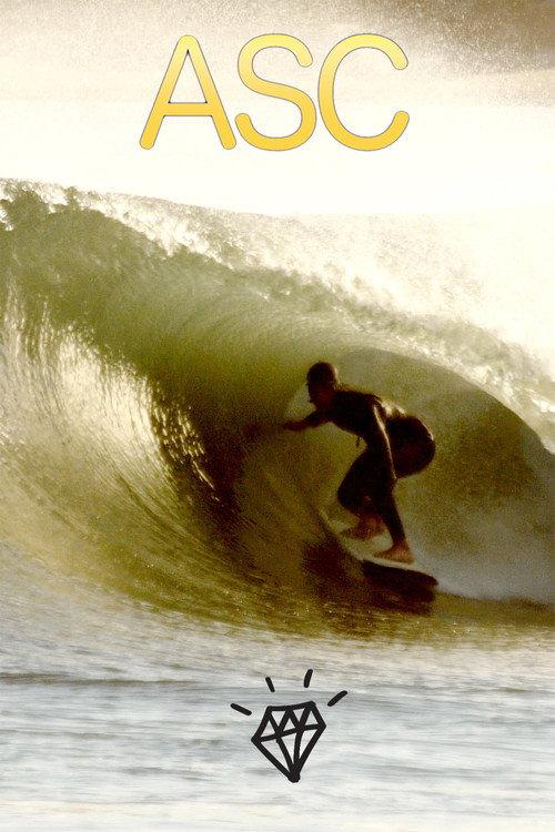 Alternative Surf Craft 2017 official movie poster