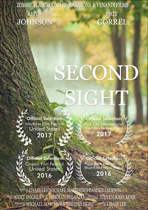 Second Sight 2016 official movie poster