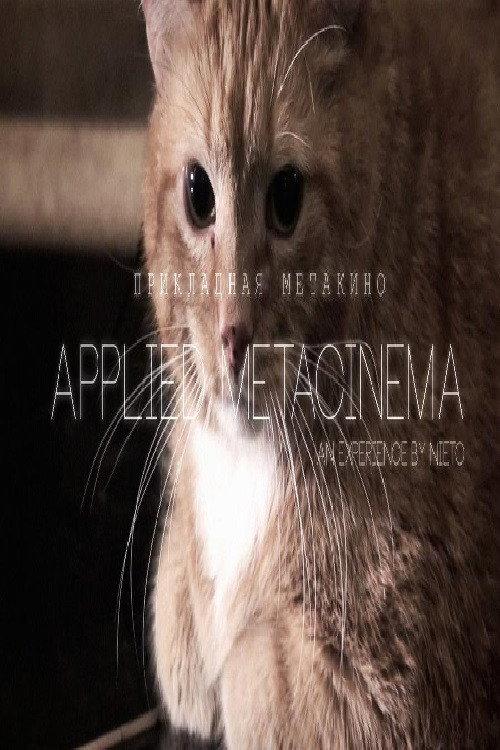 Metacinema appliqué 2014 official movie poster