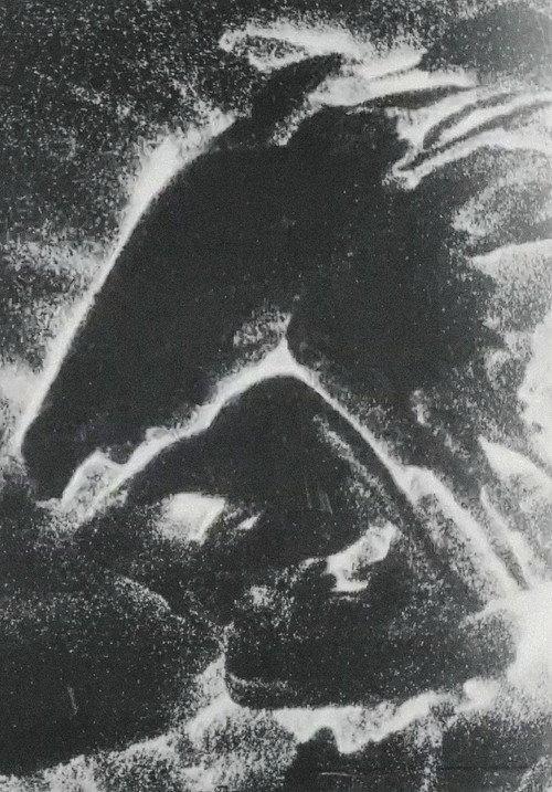 Herd 1999 official movie poster