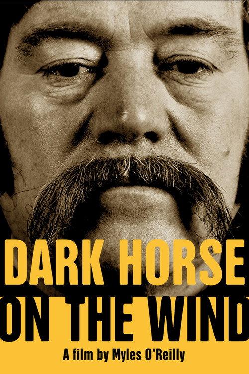 Dark Horse on the Wind 2022 official movie poster