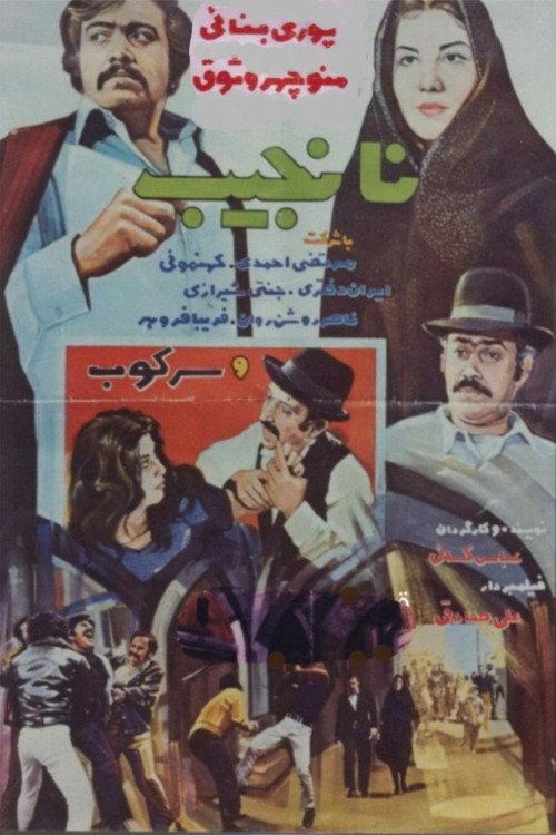 Immodest 1972 official movie poster