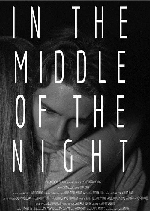 In the Middle of the Night 2016 official movie poster