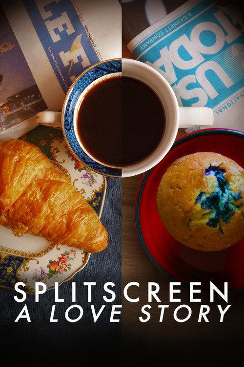 Splitscreen: A Love Story 2011 official movie poster