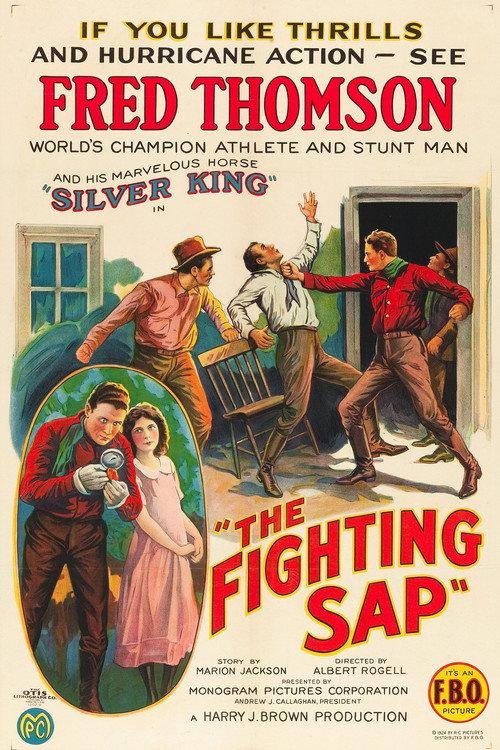 The Fighting Sap 1924 official movie poster