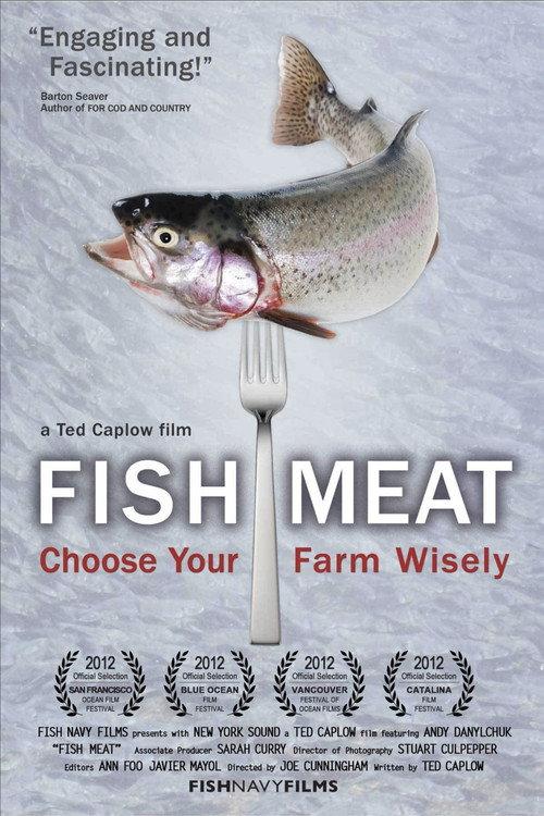 Fish Meat 2012 official movie poster