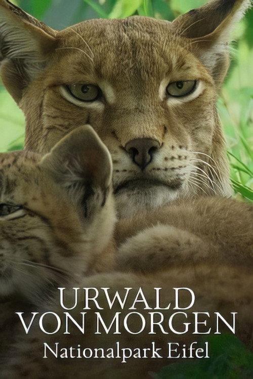 Urwald von morgen – Nationalpark Eifel 2023 official movie poster