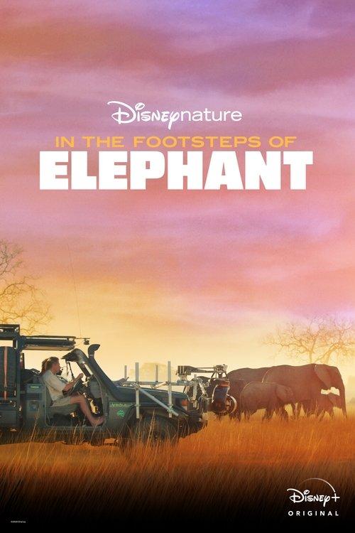In the Footsteps of Elephant 2020 official movie poster
