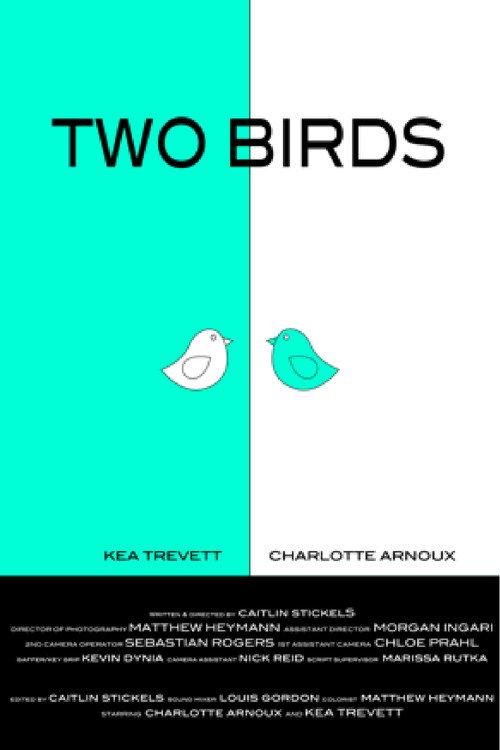 Two Birds 2016 official movie poster