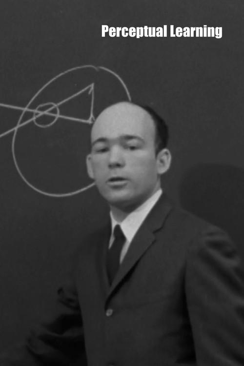 Perceptual Learning 1965 official movie poster