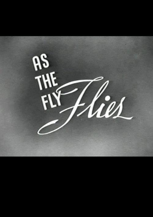 As the Fly Flies 1944 official movie poster