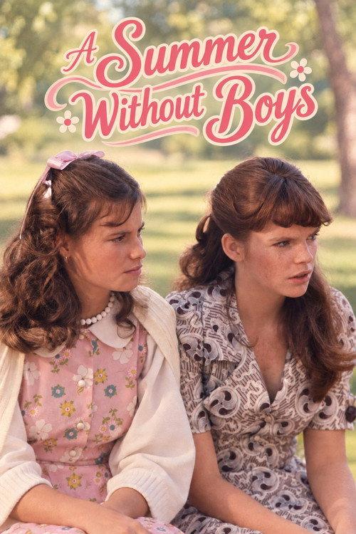 A Summer Without Boys 1973 official movie poster