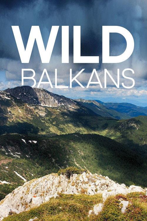 Wild Balkans 2009 official movie poster