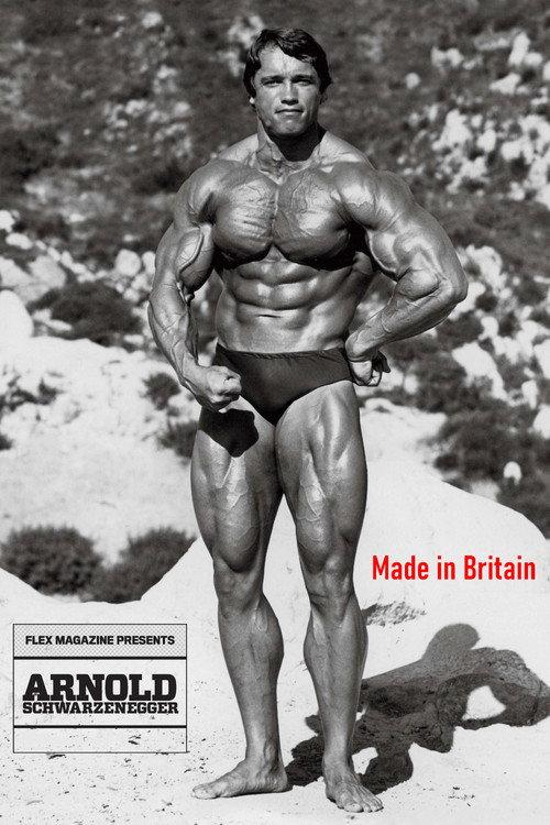Arnold: Made in Britain 2006 official movie poster