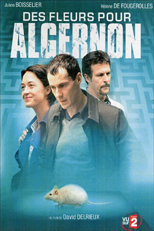 Des fleurs pour Algernon 2006 official movie poster