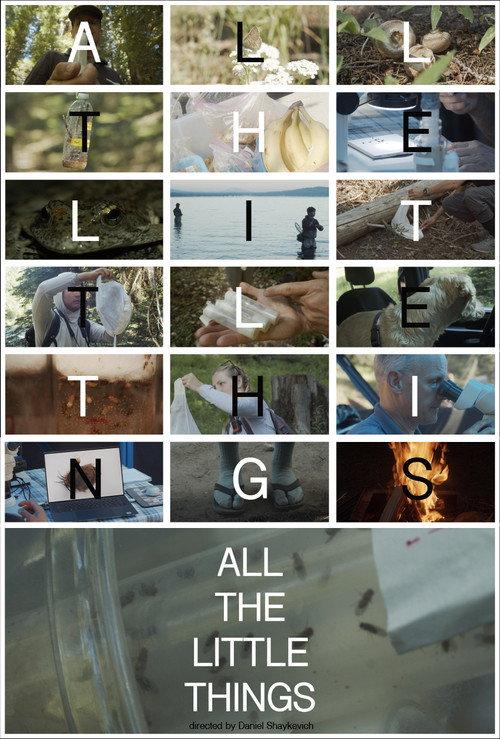 All the Little Things 2024 official movie poster