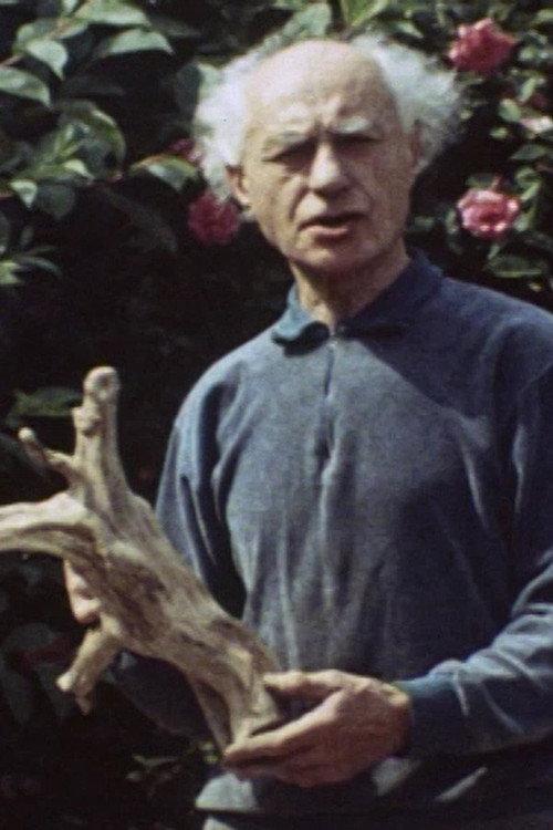 Benno Schotz: Sculptor and Modeller 1973 official movie poster