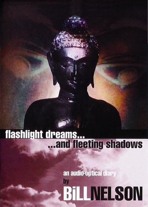 Flashlight Dreams and Fleeting Shadows: an Audio-Optical Diary by Bill Nelson 2003 official movie poster