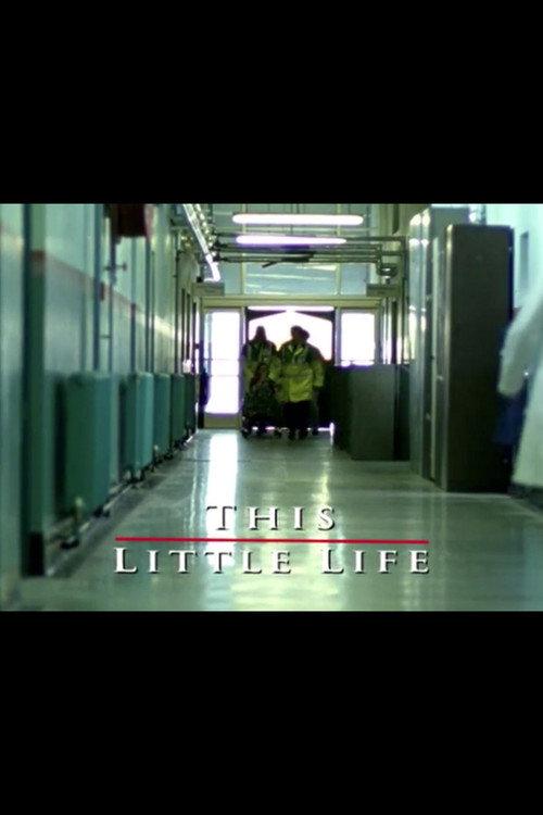 This Little Life 2003 official movie poster