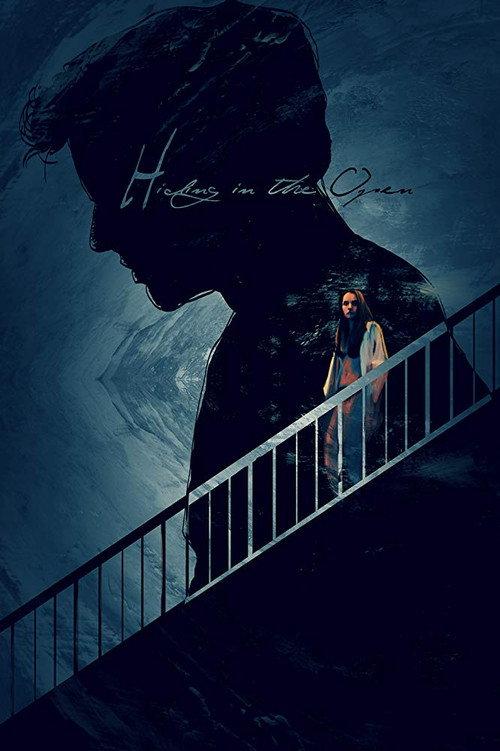 Hiding in the Open 2013 official movie poster