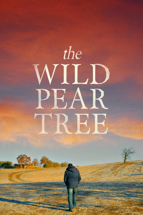 The Wild Pear Tree 2018 official movie poster