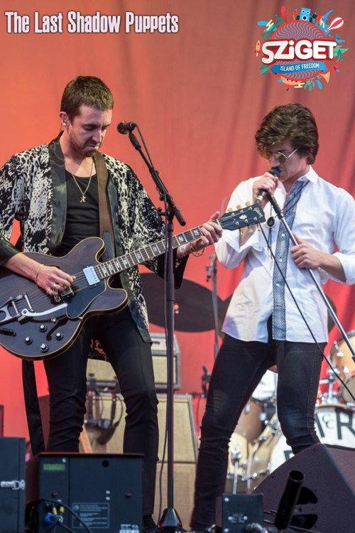 The Last Shadow Puppets at Sziget Festival 2016 official movie poster