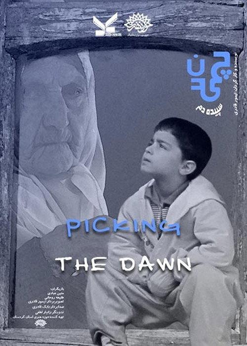 Picking the Dawn 2011 official movie poster