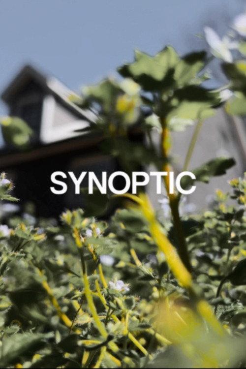 Synoptic 2024 official movie poster