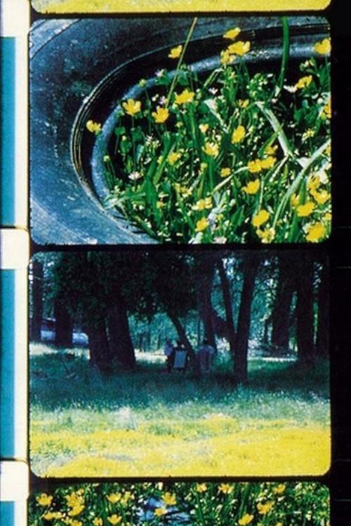 Bouquets 1-10 1995 official movie poster
